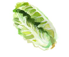 白菜