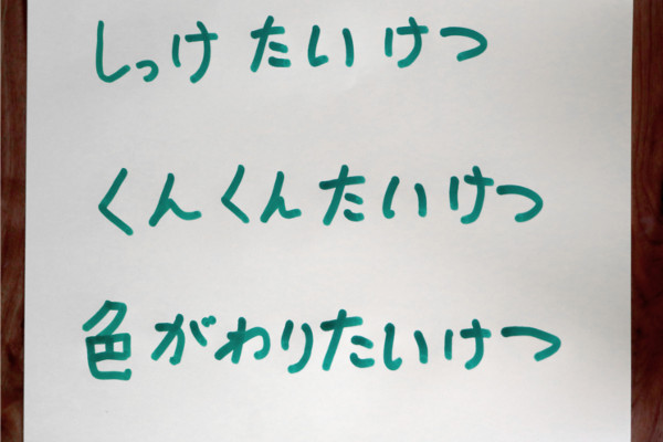 実験1 ラップの違いで海苔やおかしの保存状態は変わる？